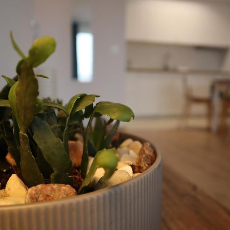 Apartament Na Ptasiej Gdansk Ngoại thất bức ảnh